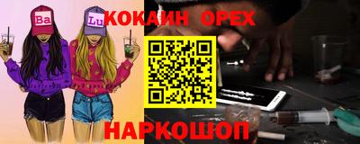 прущие грибы Краснознаменск