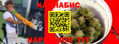 прущие грибы Краснознаменск