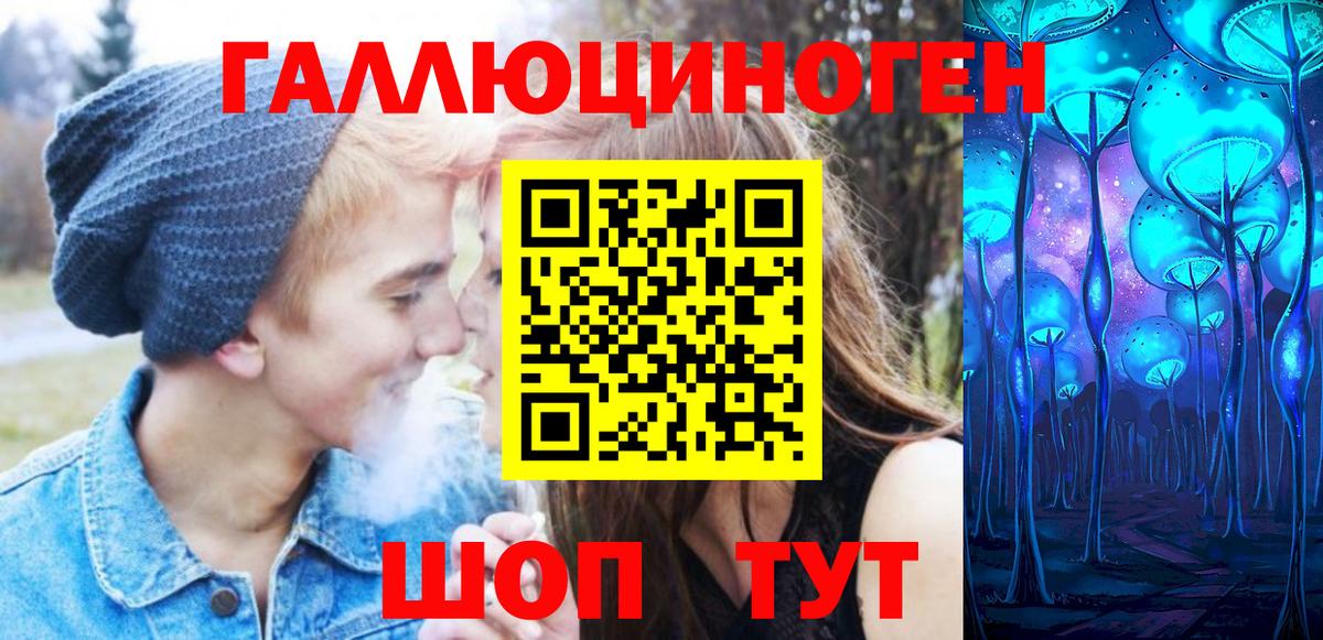 Галлюциногенные грибы Psilocybe Волоколамск